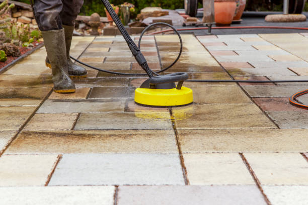 Best Animal Enclosure Cleaning  in Clarksville, VA